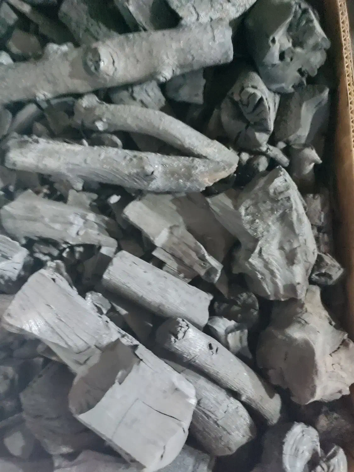 زغال کبابی سیب|خدمات باغبانی و درختکاری|اصفهان, شهرک کوثر|دیوار