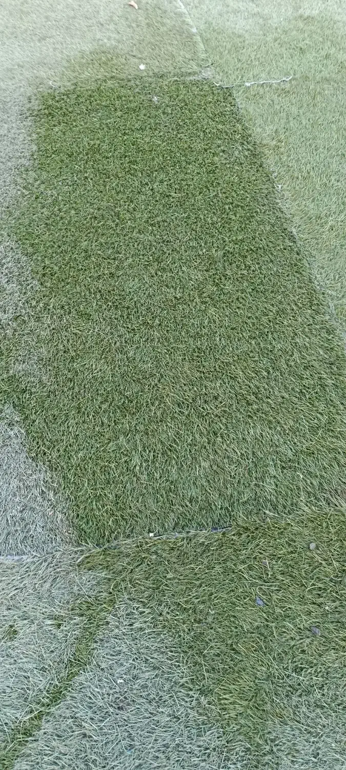 چمن مصنوعی دست دوم|مصالح و تجهیزات ساختمان|سنندج, |دیوار