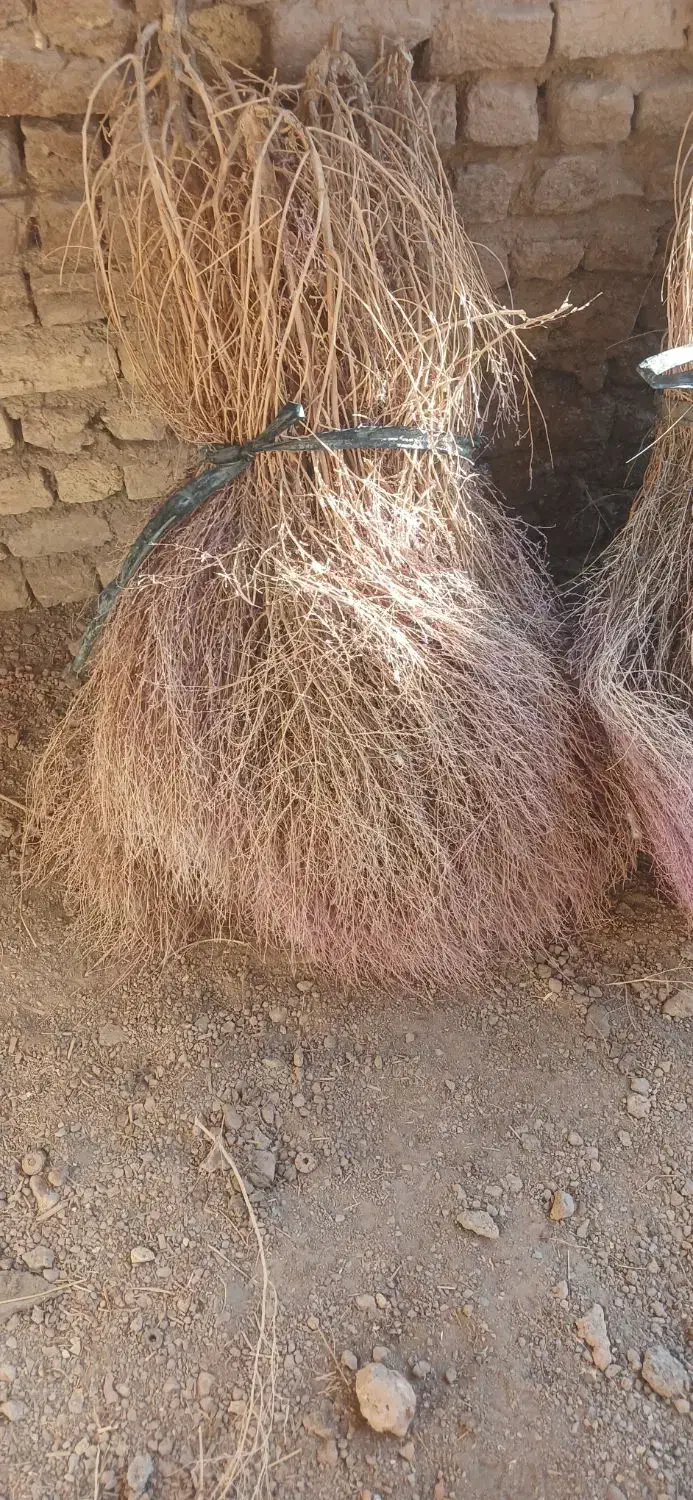 جارو|لوازم نظافت|اصفهان, پوریای ولی|دیوار