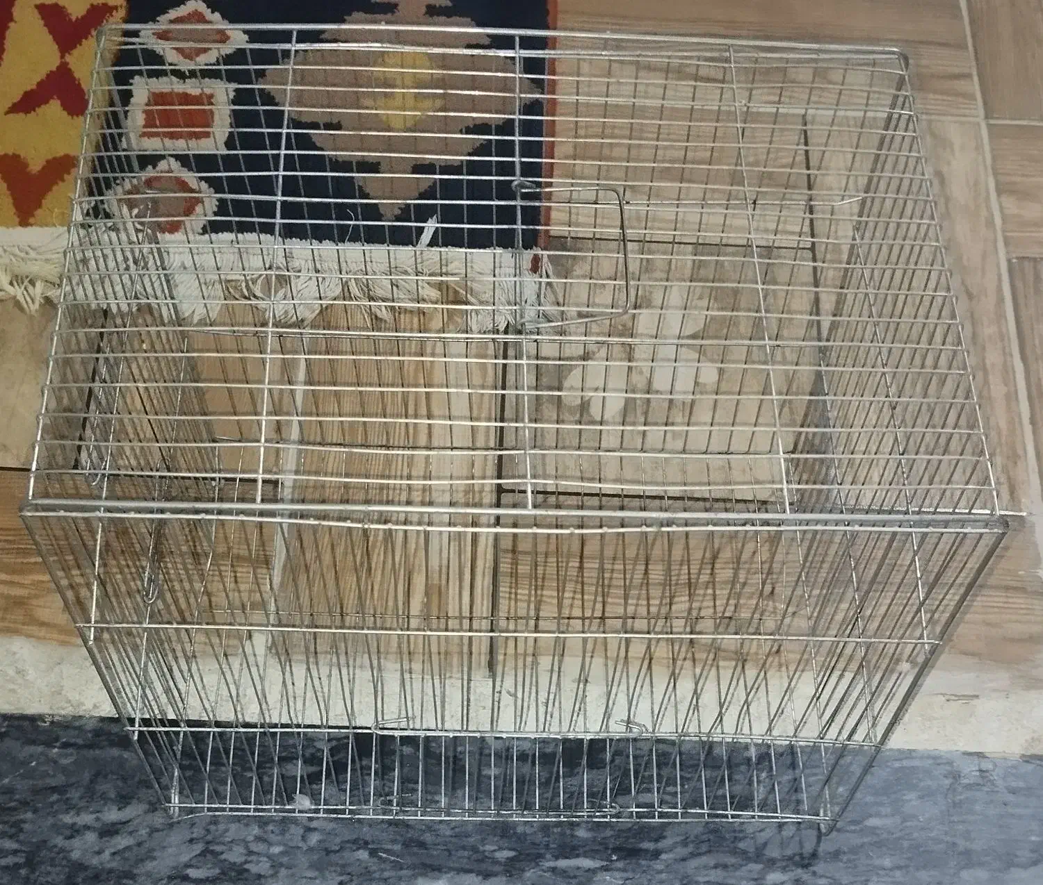 قفس پرنده|لوازم جانبی حیوانات|نقده, |دیوار