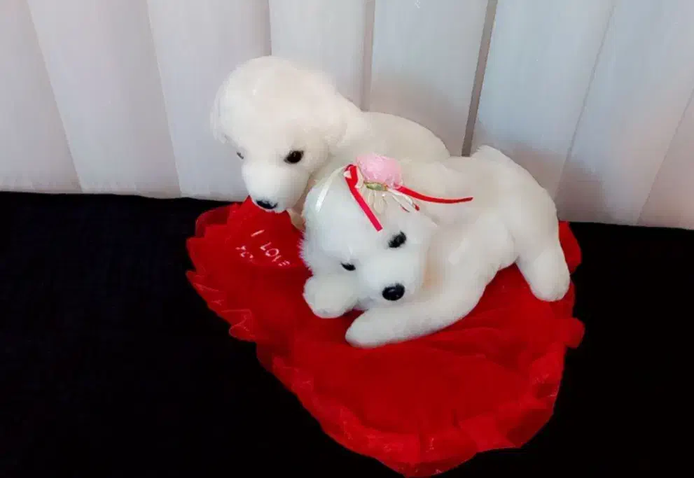 عروسک برای وَلِنتاین(سایز عروسک بزرگ است)|اسباببازی|فردیس, قریشی|دیوار