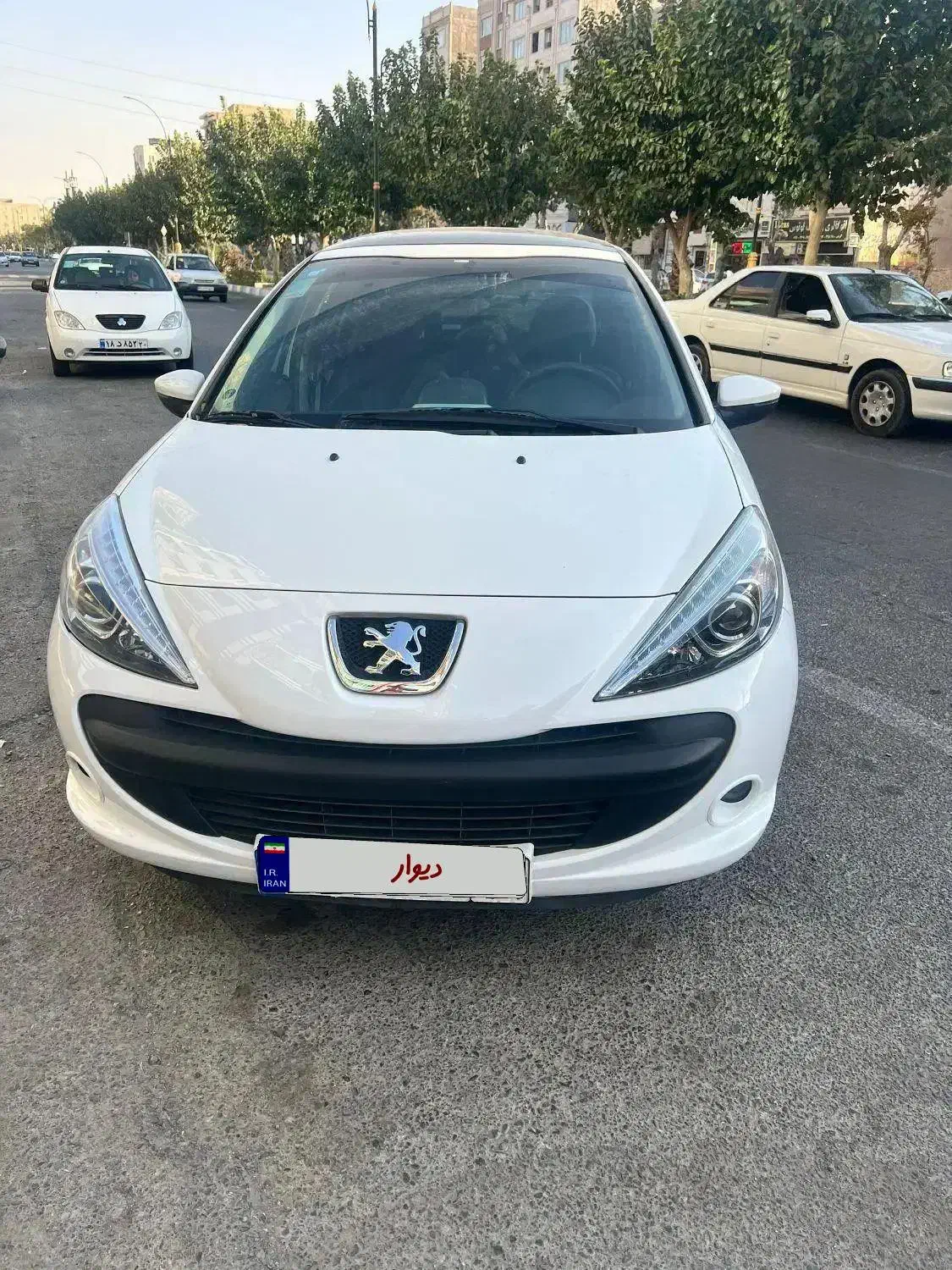 ۲۰۷ پانا ارتقا|خودرو سواری و وانت|ری, دولتآباد|دیوار