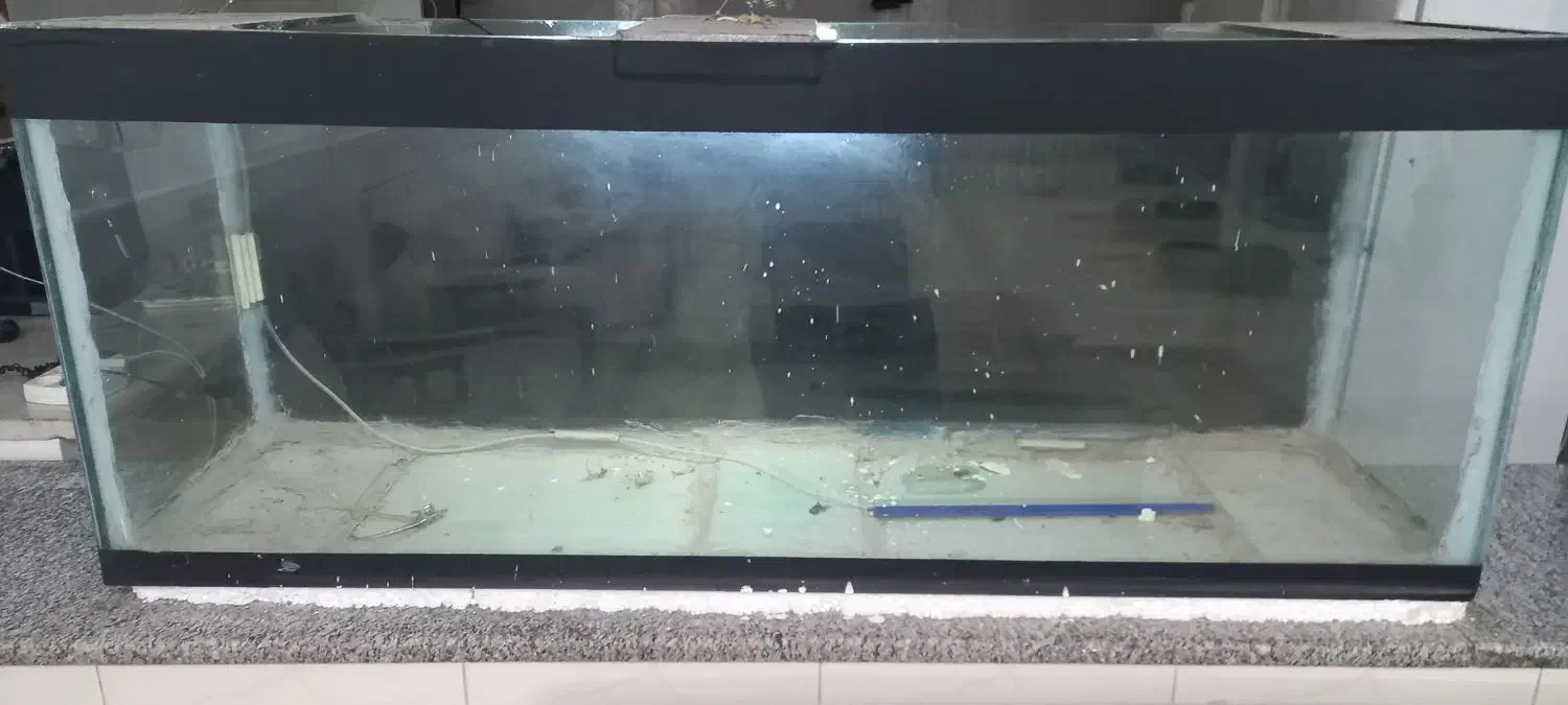 اکواریوم شیشه ده میل|لوازم جانبی حیوانات|مبارکه, |دیوار