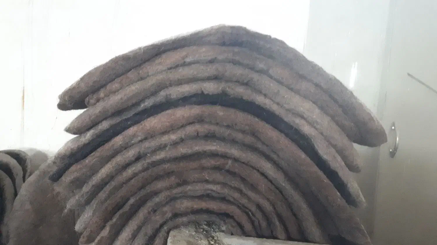 لوازم سوارکاری|اسب و تجهیزات اسب‌سواری|بروجرد, |دیوار