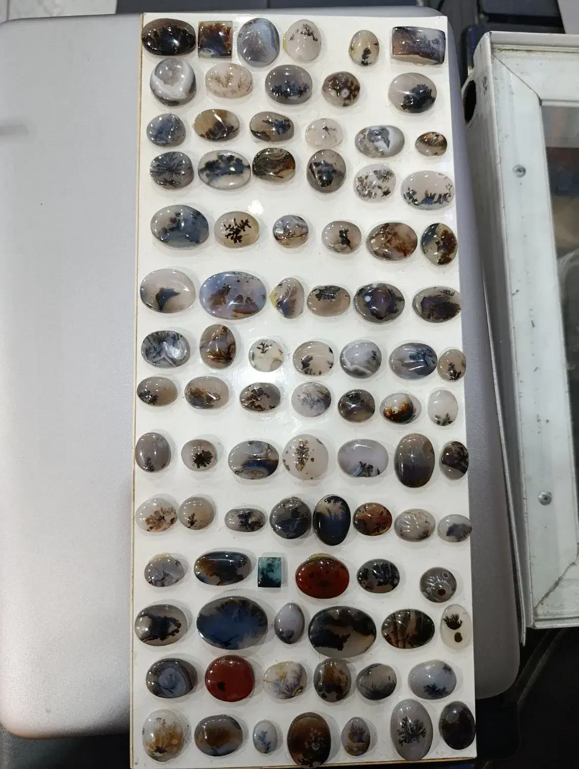 نگین شجر معاوضه با پرنده|جواهرات|قائن, |دیوار