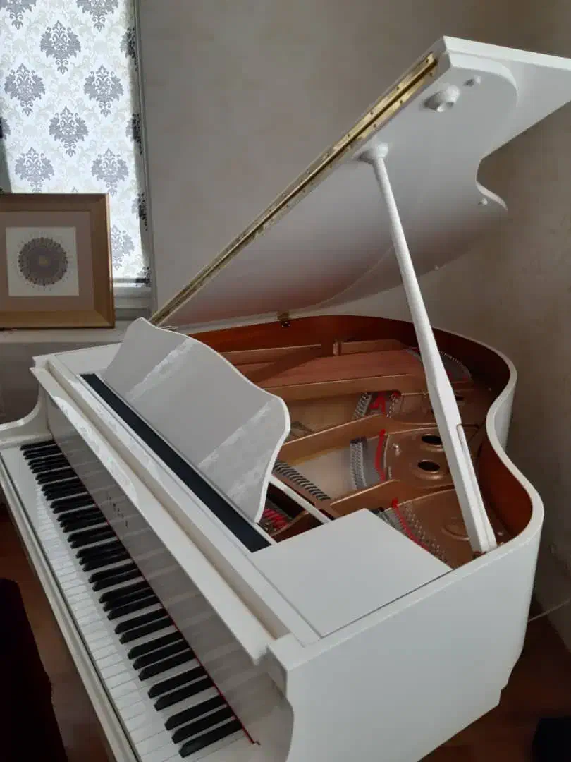 پیانو آکوستیک رویال یاماها|پیانو، کیبورد، آکاردئون|تهران, بلوار کشاورز|دیوار