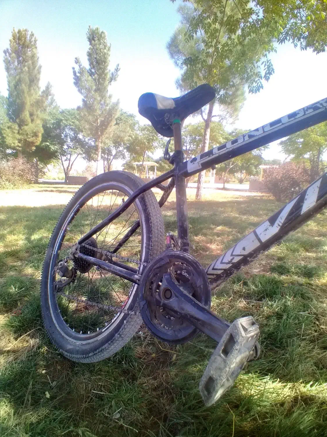 دوچرخه دنده ای ویوا|دوچرخه، اسکیت، اسکوتر|بجنورد, |دیوار