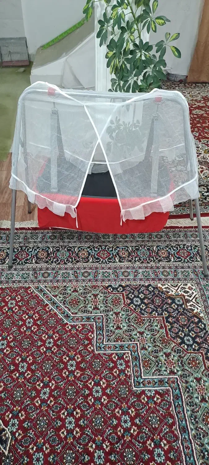 کالسکه.   کریرر.     گهواره.|کالسکه و لوازم جانبی|خرم‌آباد, |دیوار