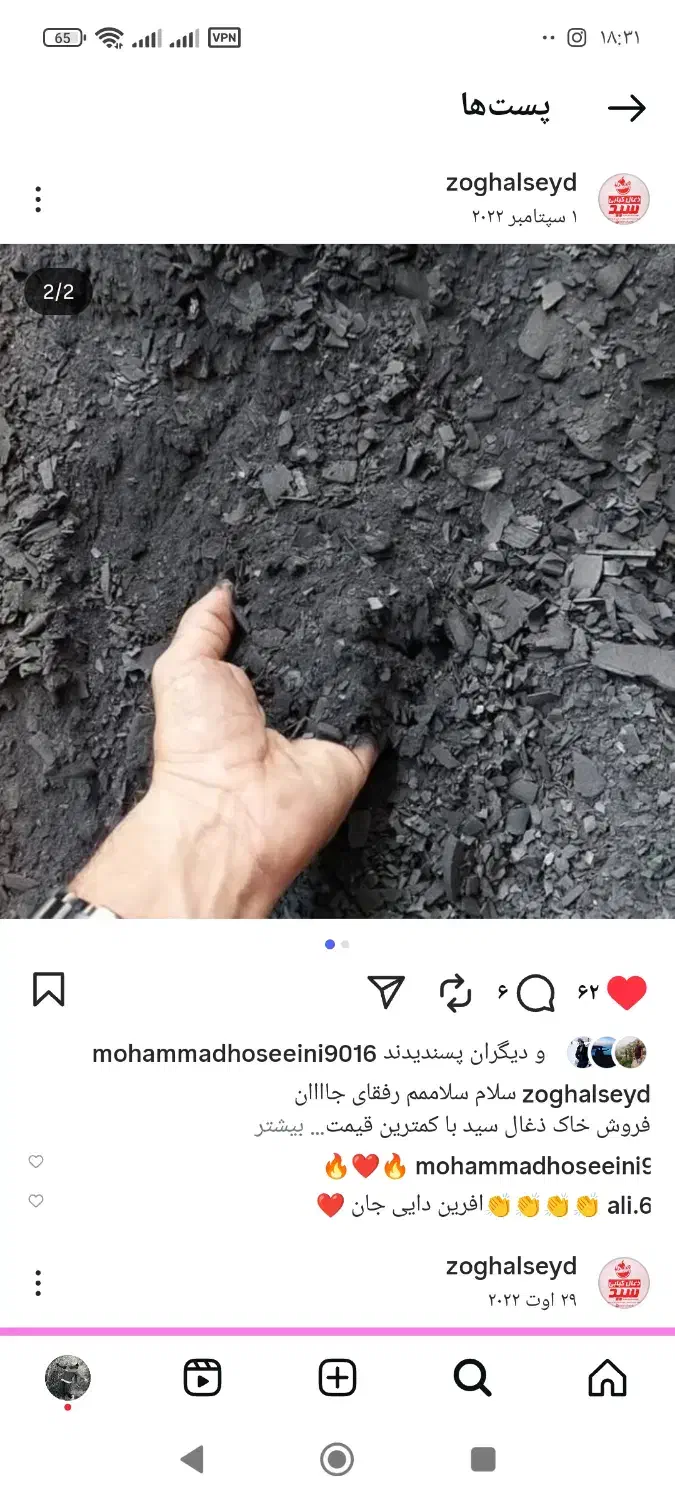 خاک ذغال|گل و گیاه طبیعی|مینودشت, |دیوار