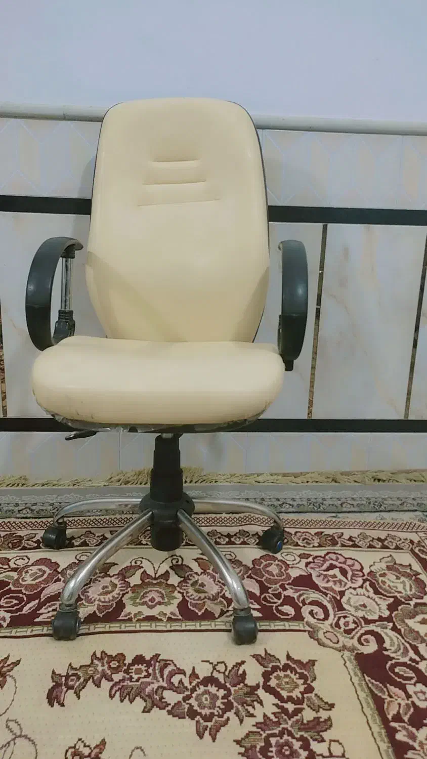 صندلی چرخدار|صندلی و نیمکت|زابل, |دیوار