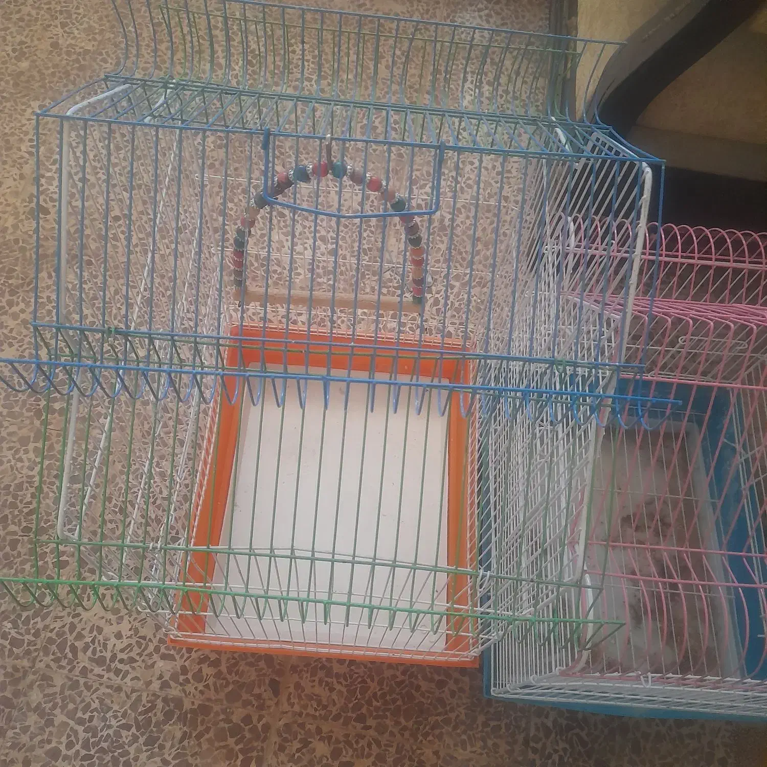 ۲عددقفس عروس هلندی|لوازم جانبی حیوانات|بروجن, |دیوار