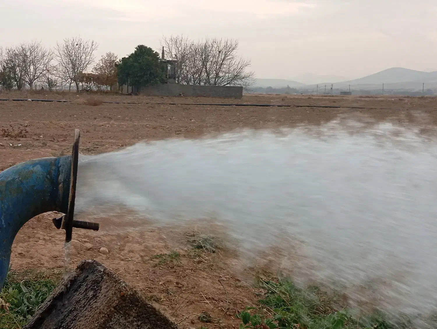 فروش زمین کشاورزی در بیضا|فروش زمین و ملک کلنگی|بیضا, |دیوار