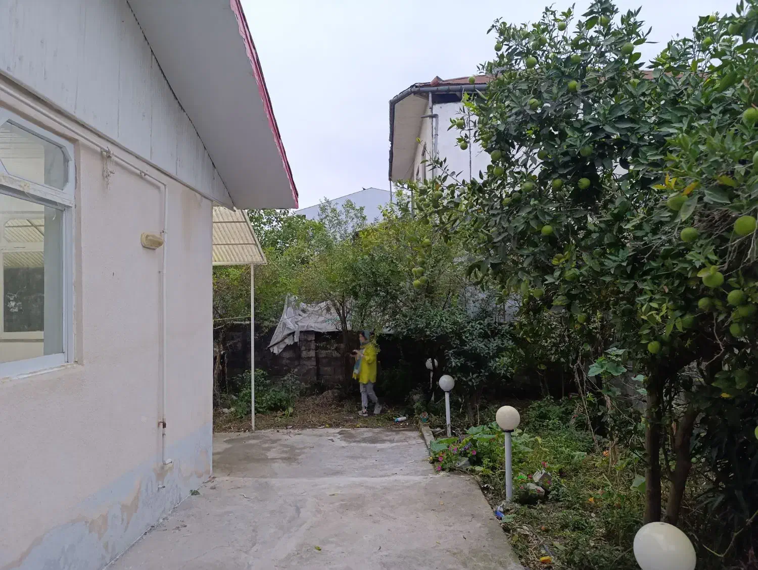 فروش منزل قدیمی و نوستالژی|فروش زمین و ملک کلنگی|لاهیجان, بوجایه|دیوار