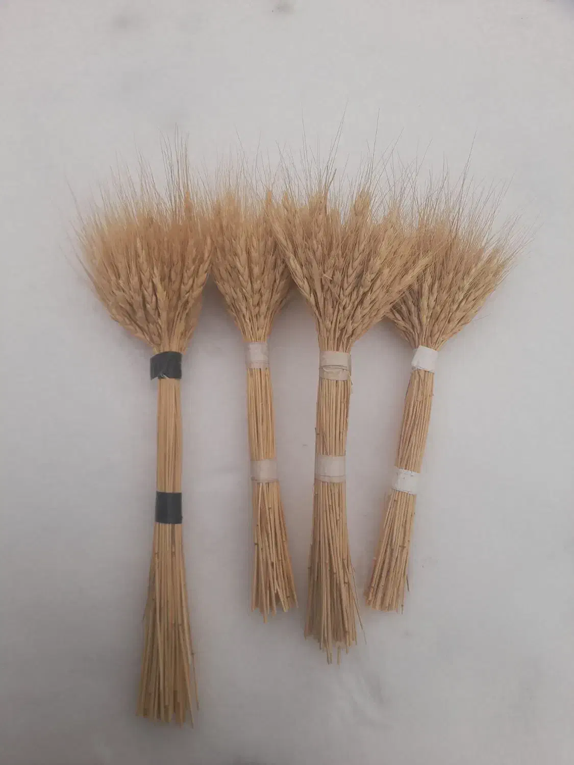 دسته گندم|عمده‌فروشی|اردبیل, |دیوار