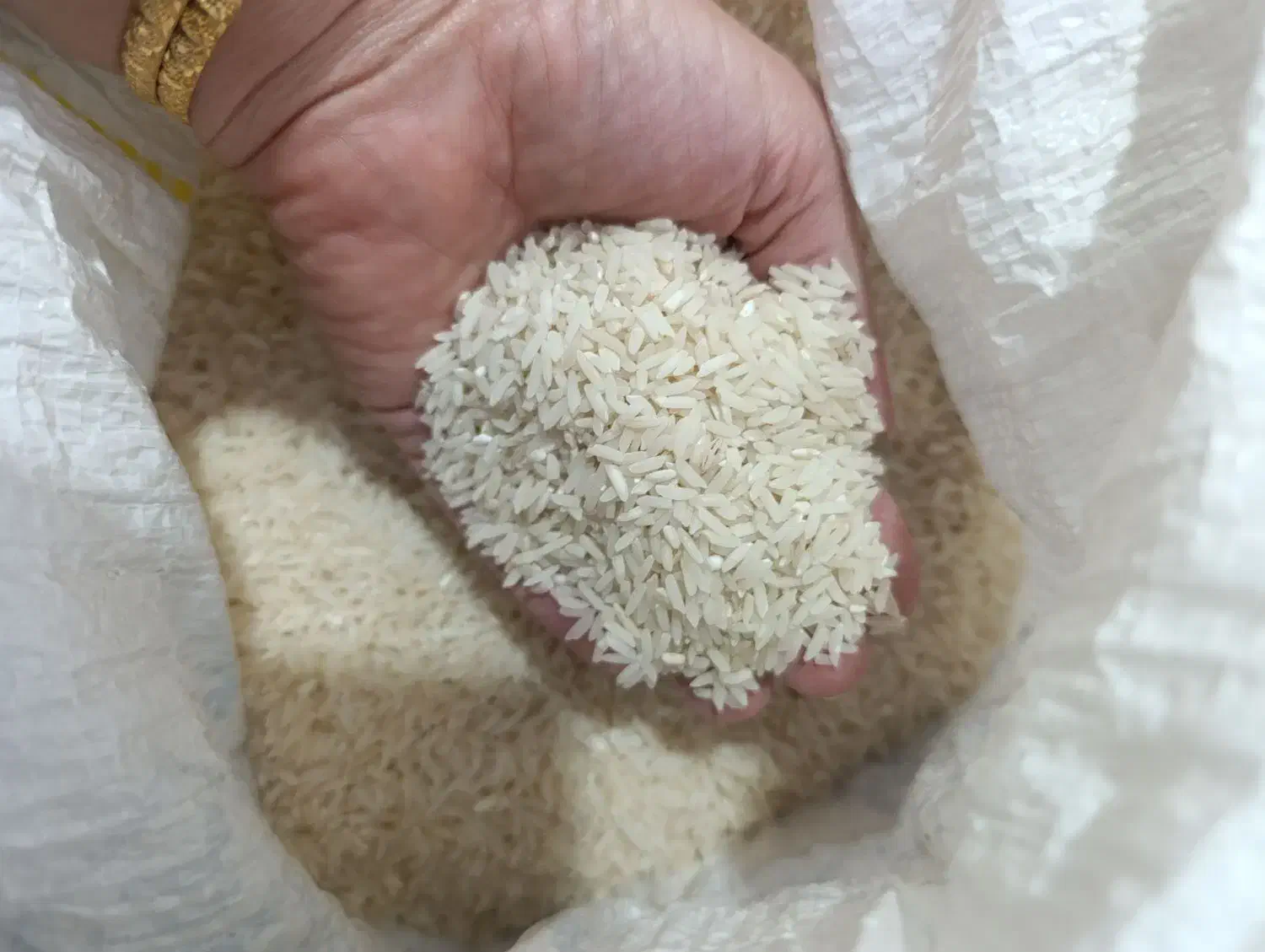 برنج طارم هاشمی 50کیلو|خوردنی و آشامیدنی|نکا, |دیوار