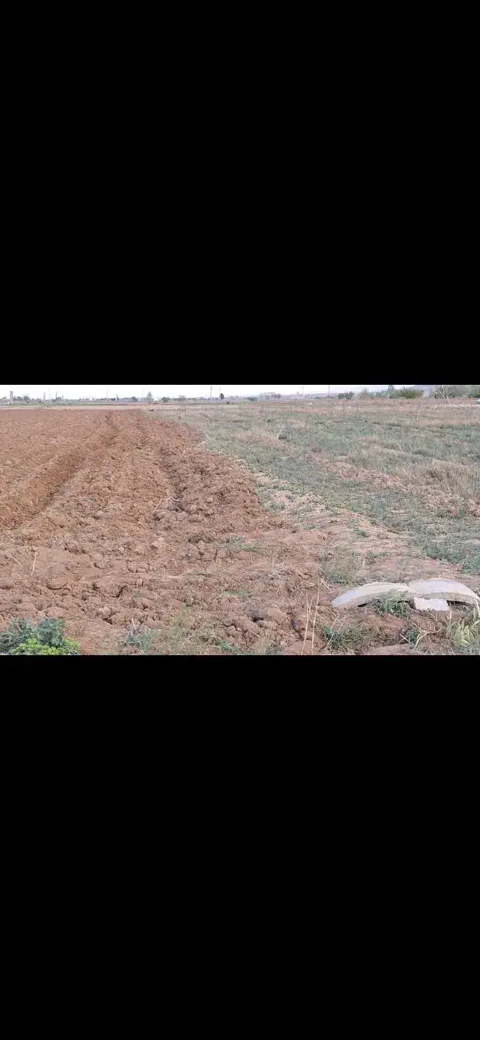 زمین کشاورزی نیم هکتار بعد از رادکان|فروش دفتر صنعتی، کشاورزی، تجاری|خرمدشت, |دیوار
