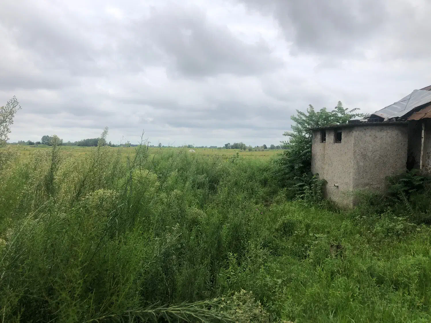 خانه کلنگی با انشعابات ۵۱۲متر زمین|فروش زمین و ملک کلنگی|خشکبیجار, |دیوار