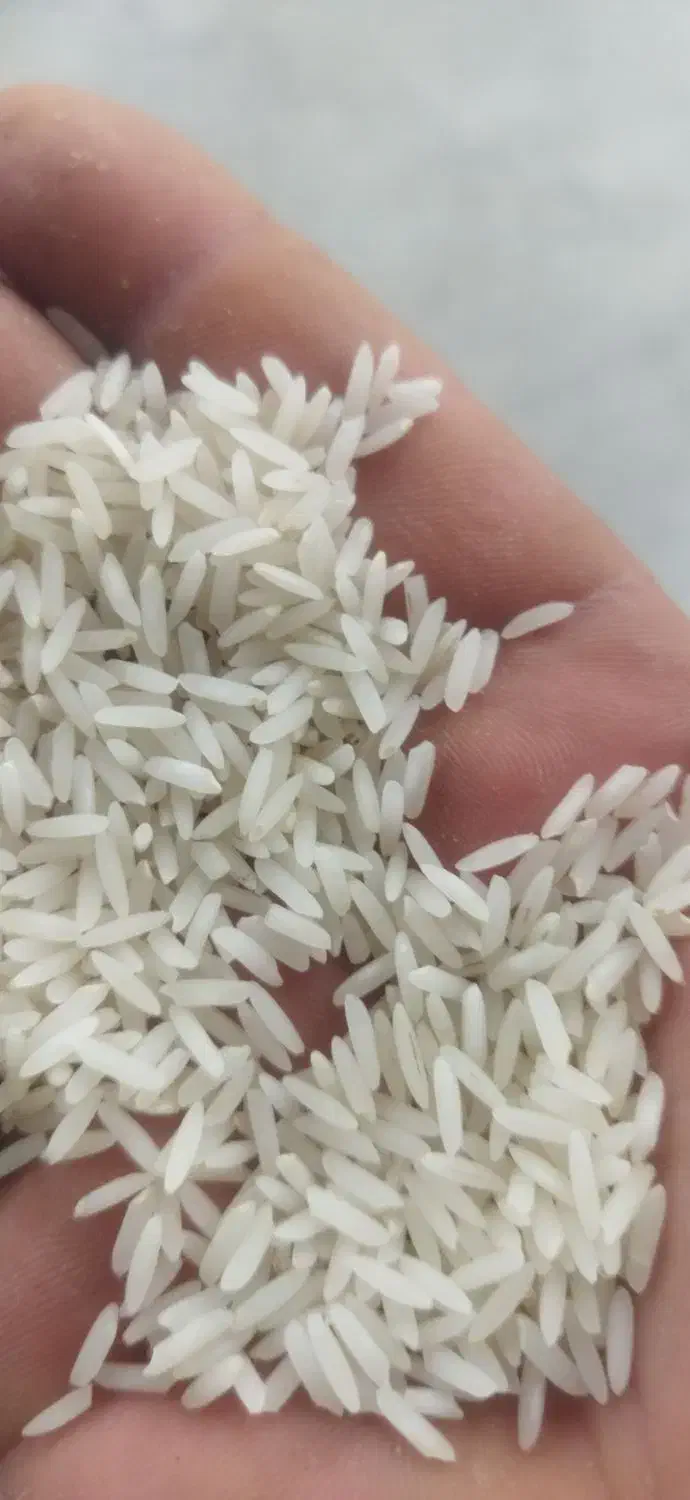 برنج ندا درجه یک|خوردنی و آشامیدنی|بهشهر, |دیوار