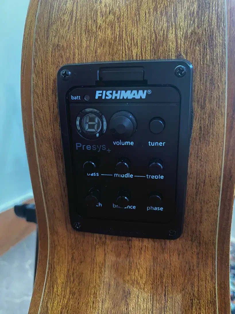 گیتار کلاریس پیکبدار کاتوی مخصوص اجرای زنده|گیتار، بیس، امپلیفایر|گنبد کاووس, |دیوار