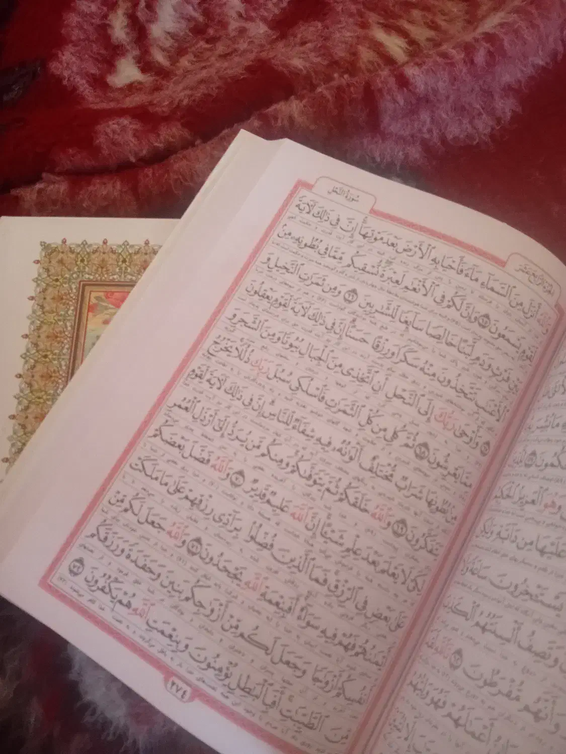 قرآن کریم|کتاب و مجله مذهبی|گوگان, |دیوار