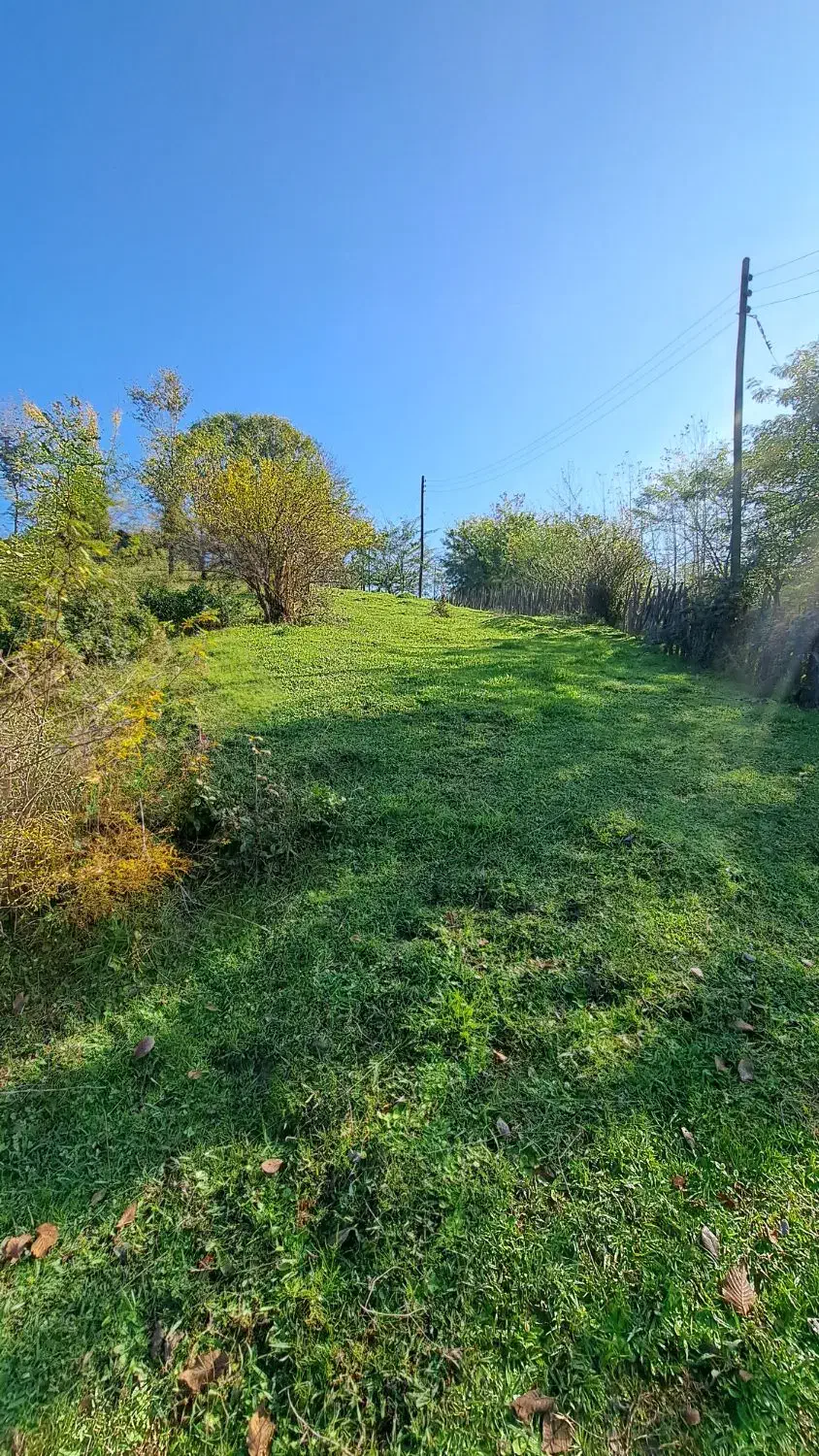 زمین باغی آینده دار /رو ارتفاع|فروش زمین و ملک کلنگی|سیاهکل, |دیوار