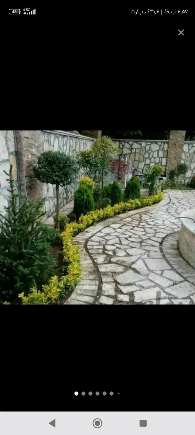 خدمات باغبانی گل کاری هرس کاری تعویض خاک گلدان|خدمات باغبانی و درختکاری|پردیس, فاز ۸|دیوار