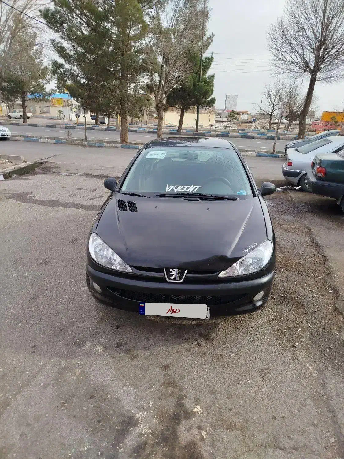 206|خودرو سواری و وانت|تاکستان, |دیوار