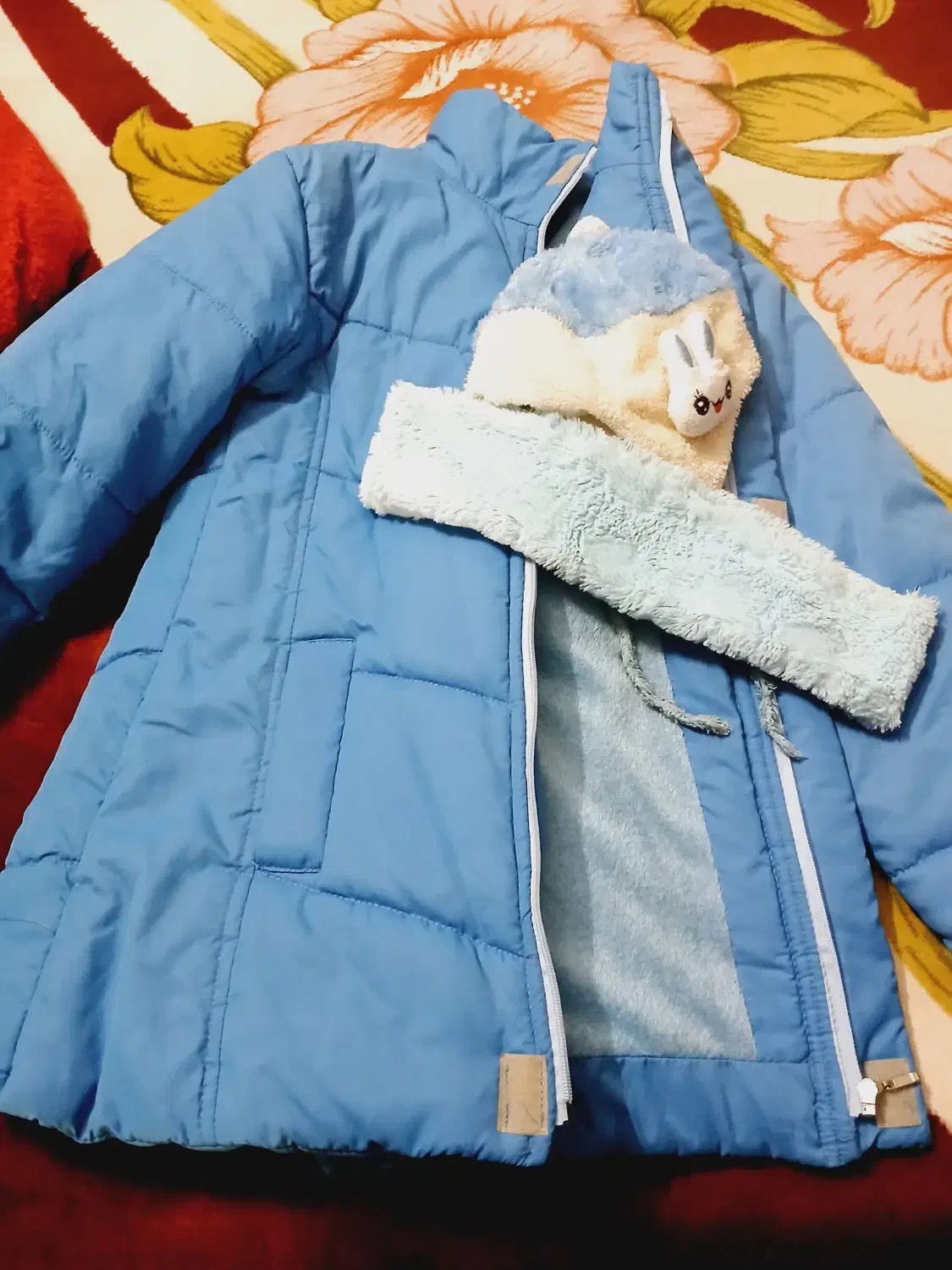 کاپشن|لباس|مشهد, گلبرگ شمالی|دیوار