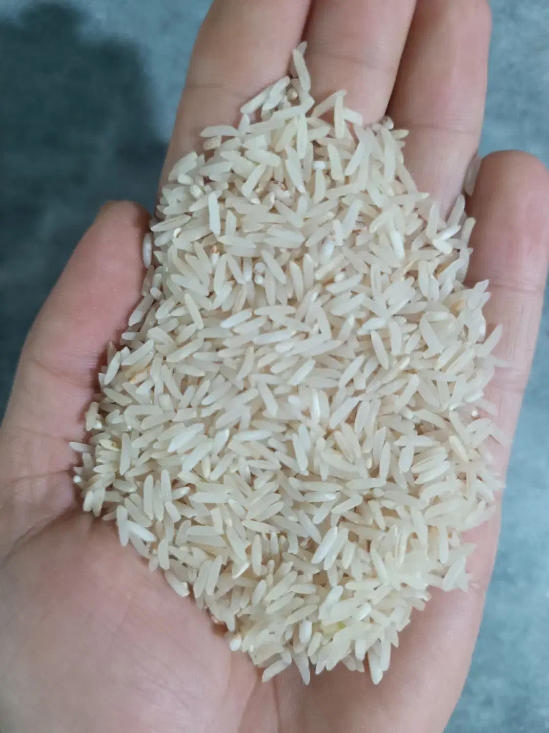 برنج علی کاظمی با کیفیت بدونه شکسته|خوردنی و آشامیدنی|سیروان, |دیوار