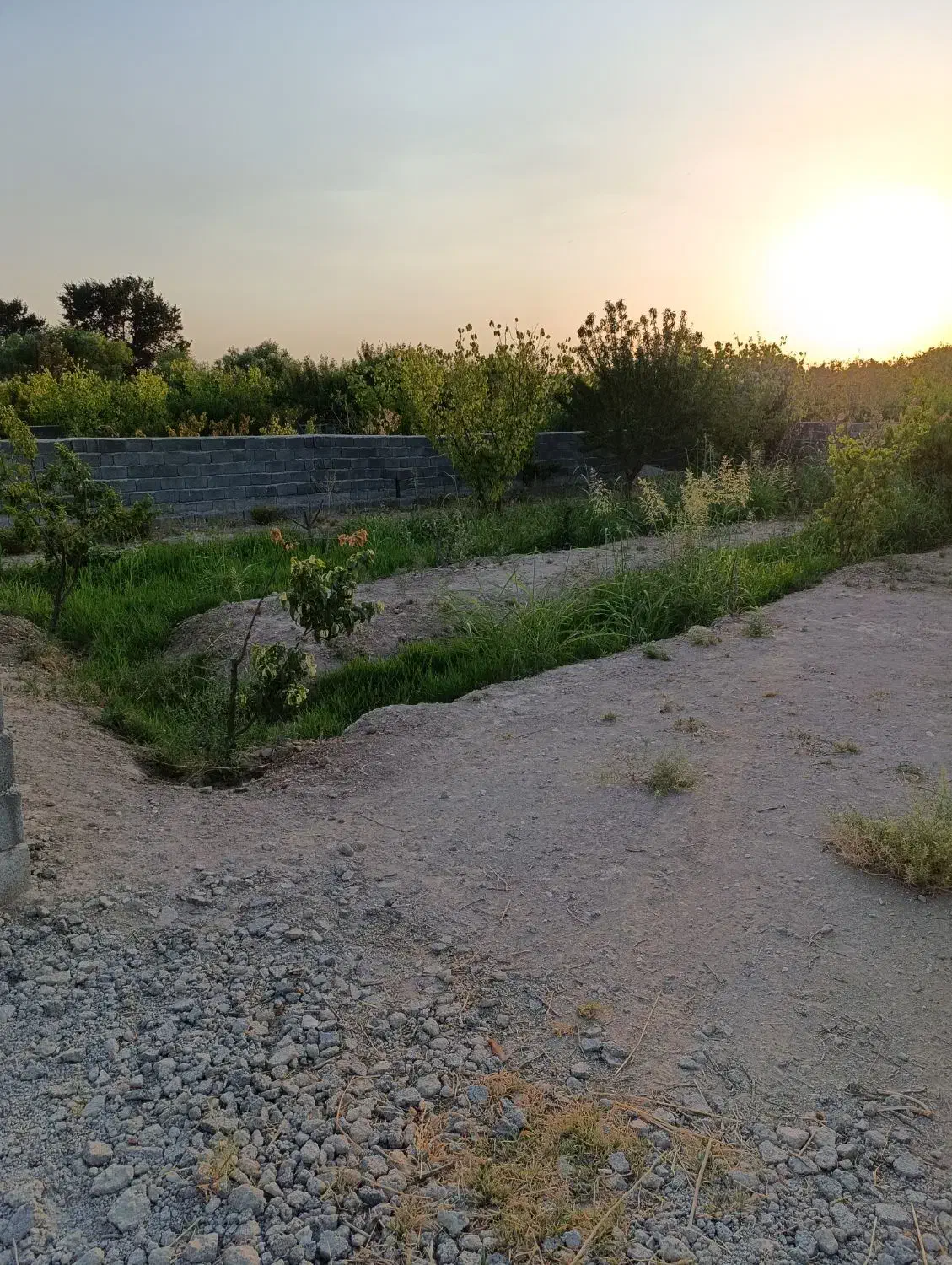 باغچه فروشی منجیل آباد|فروش زمین و ملک کلنگی|رباطکریم, منجیل آباد|دیوار