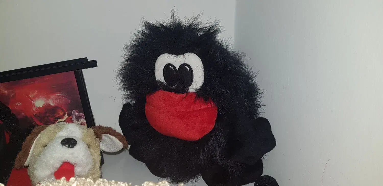 عروسک|اسباببازی بچه|پردیس, فاز ۱۱|دیوار