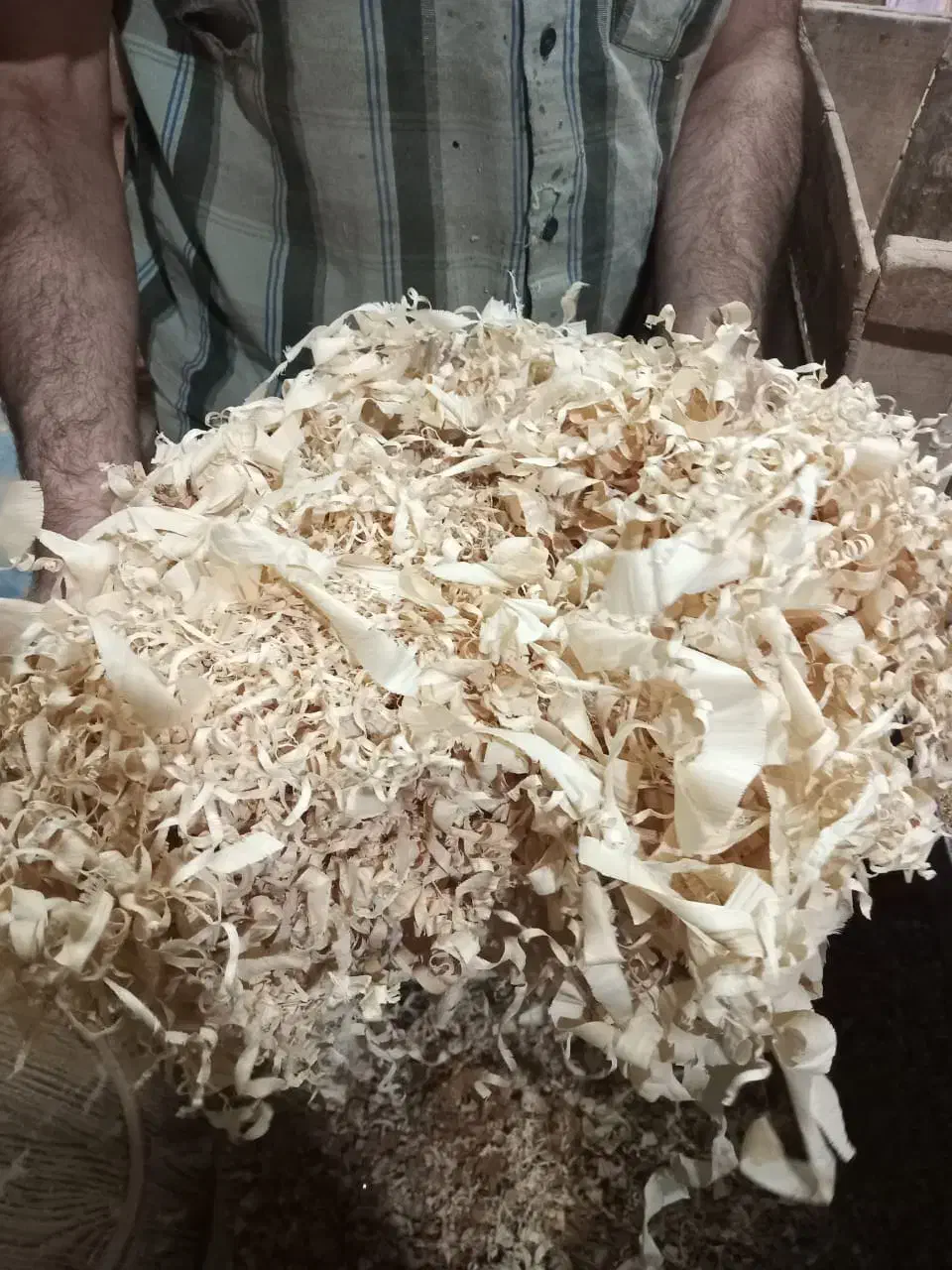 پوشال چوب|عمده‌فروشی|رشت, پیرکلاچای|دیوار