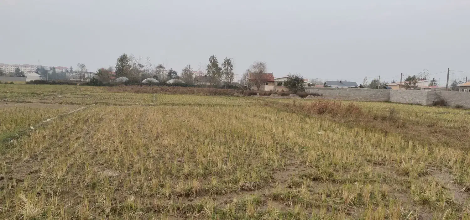 زمین مسکونی|فروش زمین و ملک کلنگی|رشت, لاکان شهر|دیوار