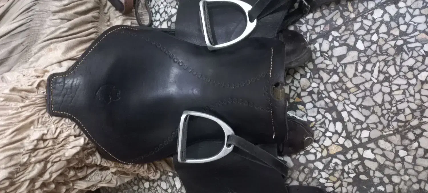 زین اسب|اسب و تجهیزات اسب‌سواری|مرند, |دیوار