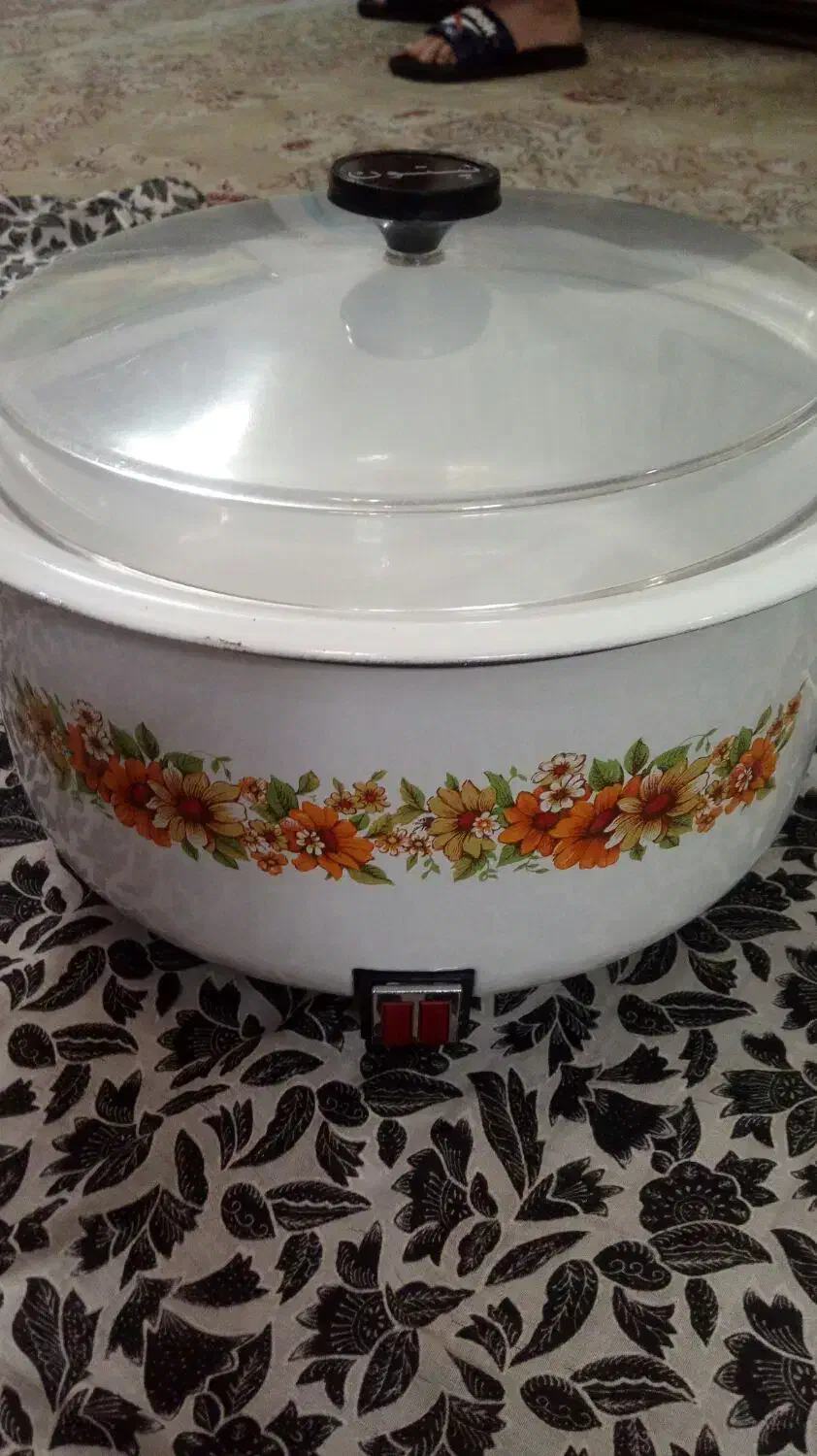 ارام پز. مارک نپتون|سایر لوازم برقی|سبزوار, امیر کبیر|دیوار