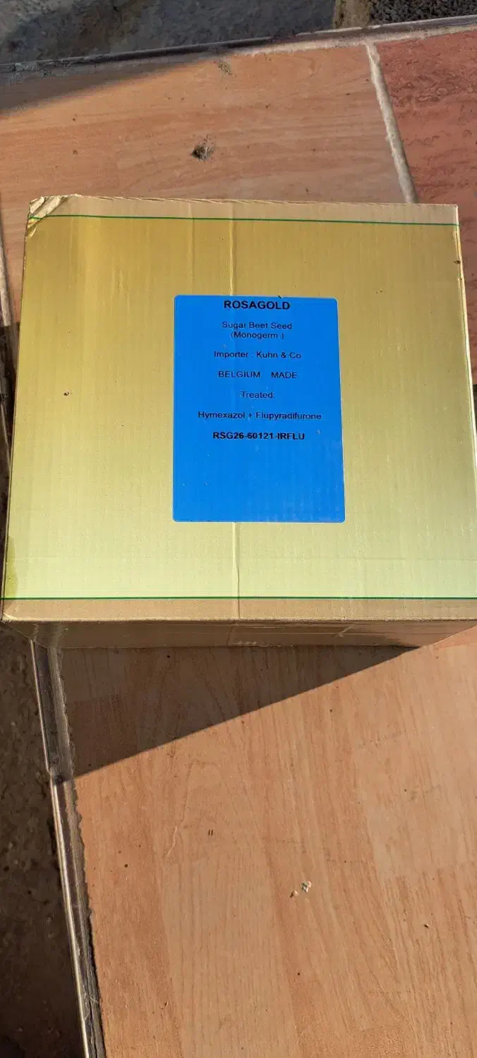 بذر  چغندر|گل و گیاه طبیعی|کلاله, |دیوار