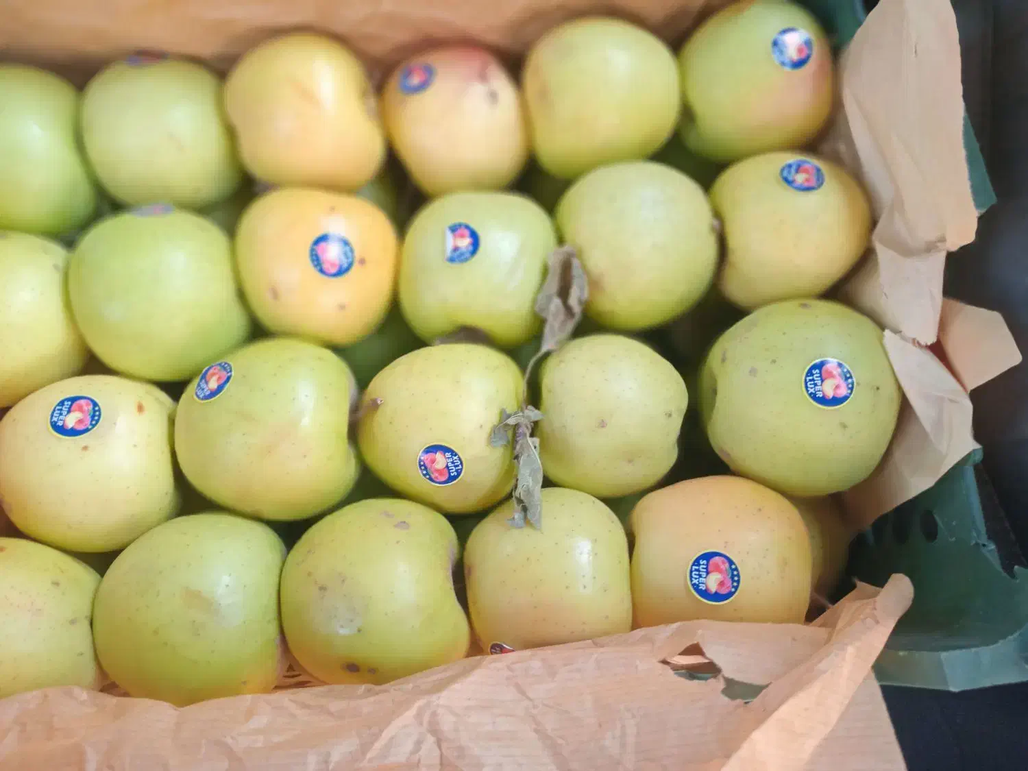 فروش سیب|عمدهفروشی|اهر, |دیوار