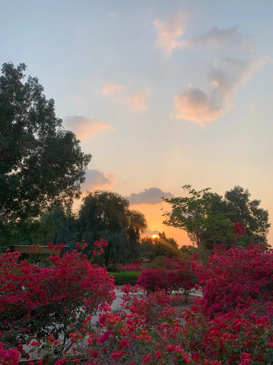 اجاره شبانه دوخواب صدف|اجارهٔ کوتاهمدت آپارتمان و سوئیت|کیش, |دیوار