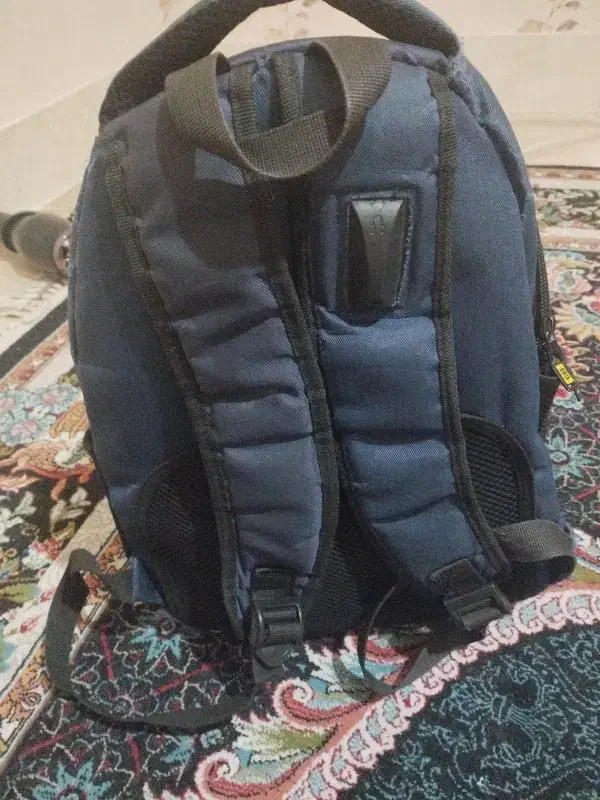 کیف catهندزفری خور و Aux|کیف، کفش، کمربند|صدرا-فارس, فاز ۱|دیوار