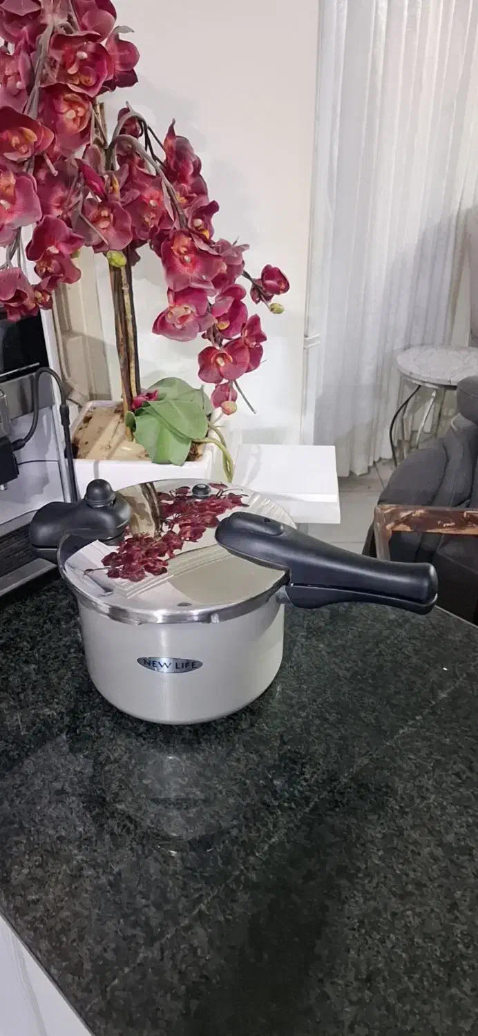 زودپز امریکایی|ظروف پخت‌وپز|مشهد, تربیت (صدف)|دیوار