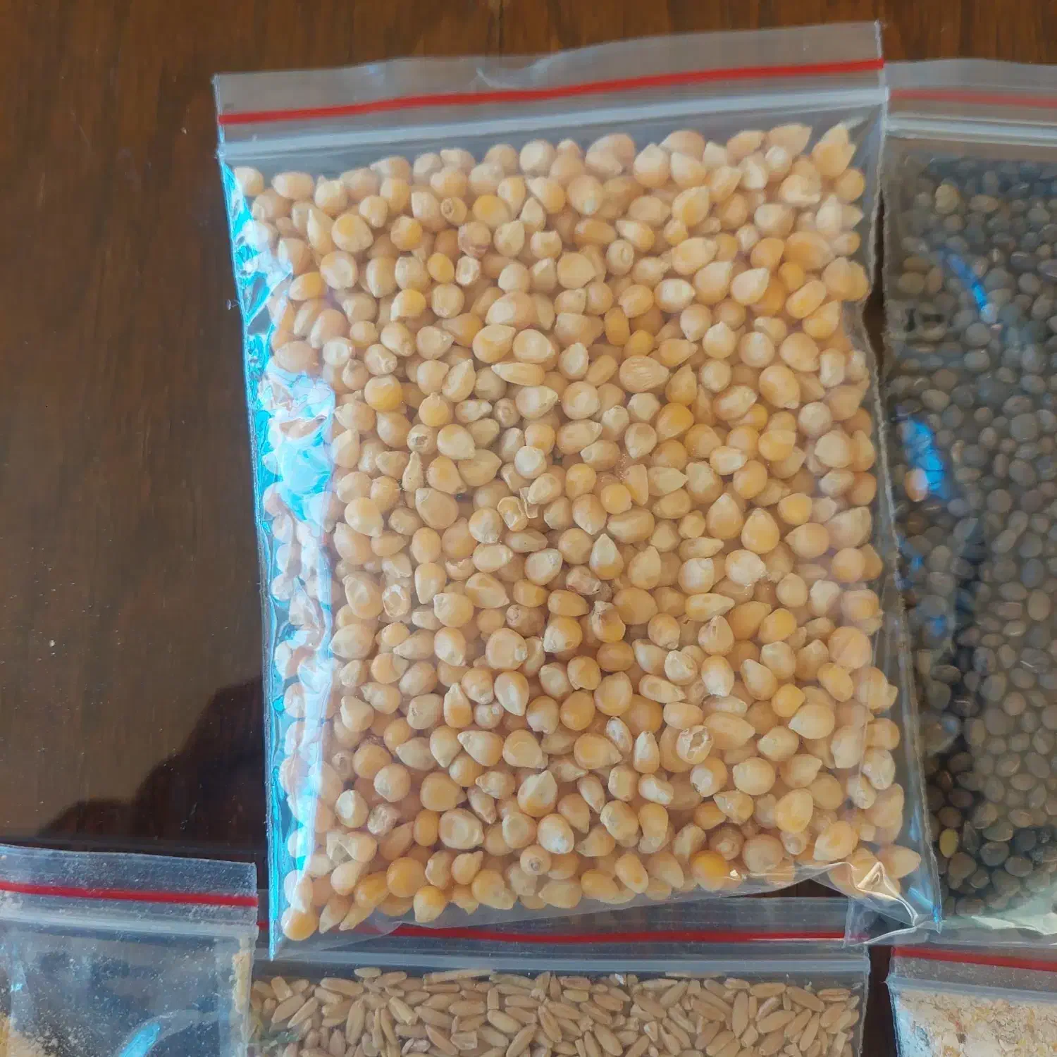 غذای دام و طیور گندم ذرت ماش گاودانه تخم جارو|لوازم جانبی حیوانات|باسمنج, |دیوار