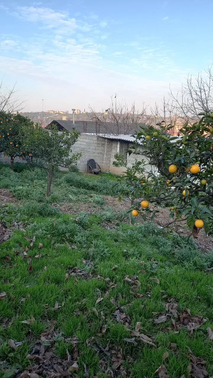 زمین تو بافت دارای پروانه ساختمانی در جاده نطامی|فروش زمین و ملک کلنگی|قائم‌شهر, |دیوار