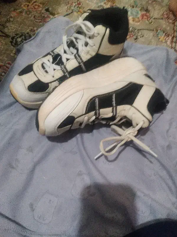 کفش زنانه|کیف، کفش، کمربند|سراب, |دیوار