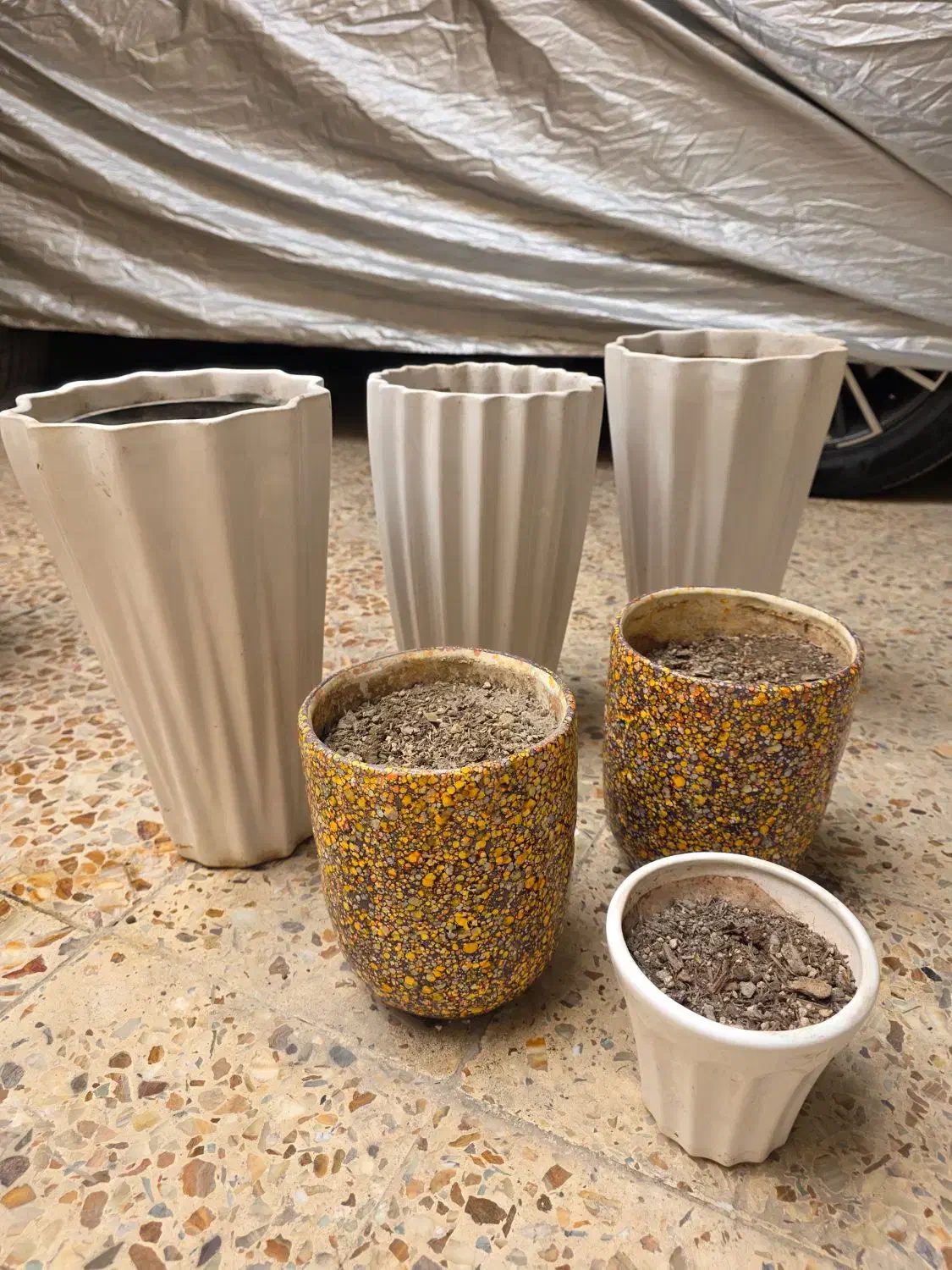 گلدان|گل و گیاه طبیعی|شادگان, |دیوار