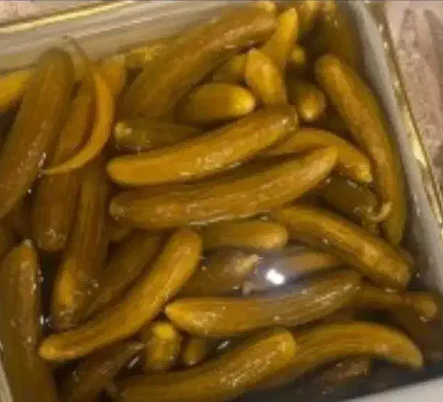خیارشور حلب ویژه|خوردنی و آشامیدنی|اهواز, کوی صادقیه|دیوار