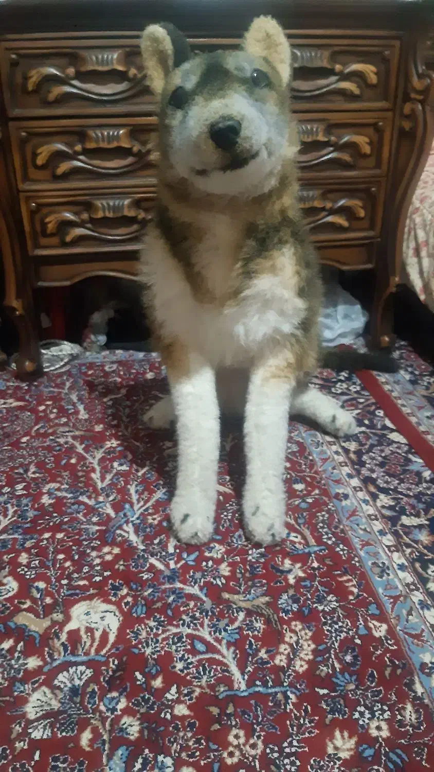 عروسک گرگ پلیشی سایز بزرگ|اسباب‌‌بازی|کرمانشاه, |دیوار