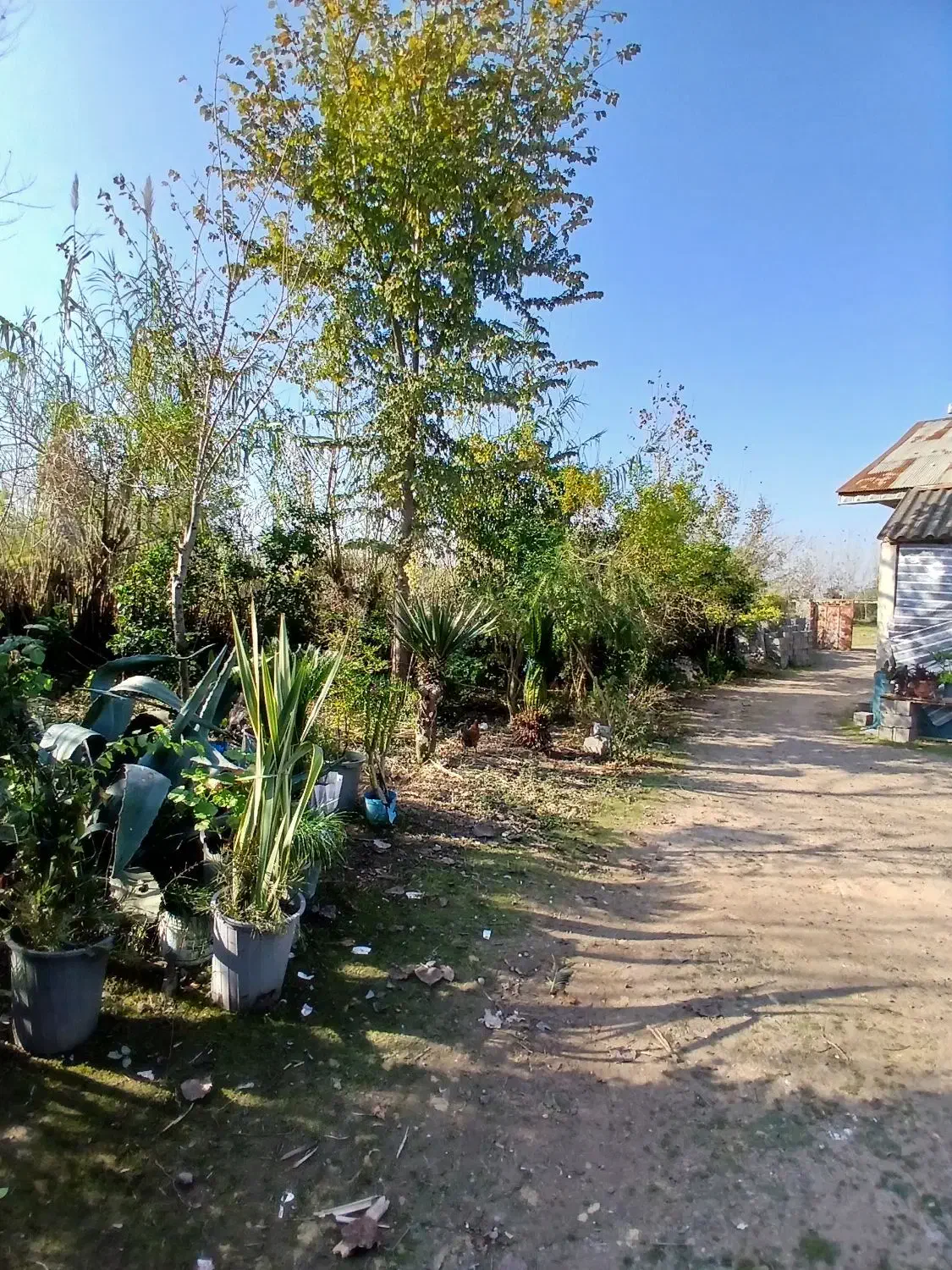 خونه روستایی|فروش خانه و ویلا|کوچصفهان, |دیوار