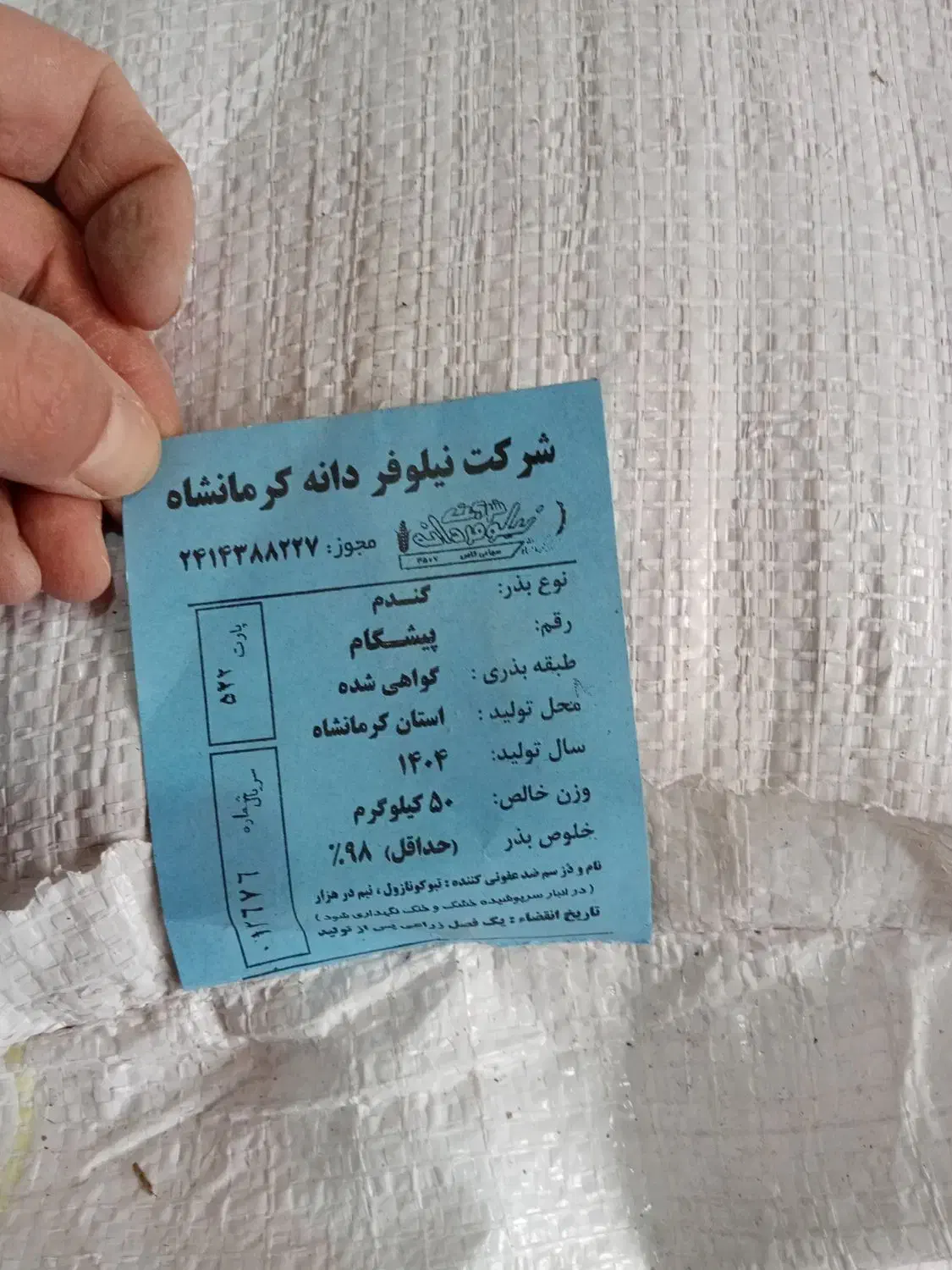 بذر گندم پیشگام آبی|گل و گیاه طبیعی|بیستون, |دیوار