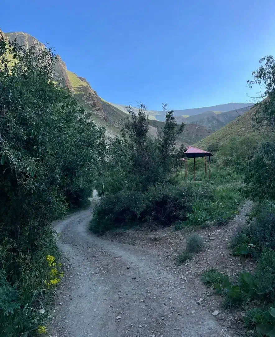 باغ میوه ۴۹۵ متر|فروش زمین و ملک کلنگی|بلده, |دیوار