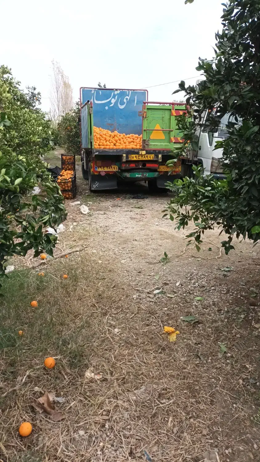 خاور مدل ۷۰ ۸۰۸|خودرو سنگین|اردبیل, |دیوار